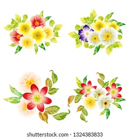 Flowers set. Collection of floral elements
