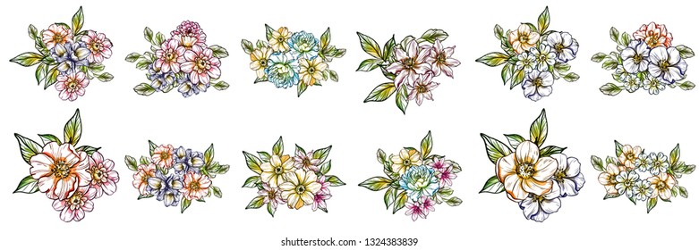 Flowers set. Collection of floral elements