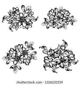 Flowers set. Collection of floral elements