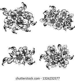 Flowers set. Collection of floral elements