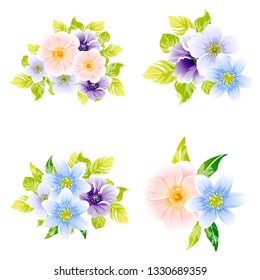 Flowers set. Collection of floral elements