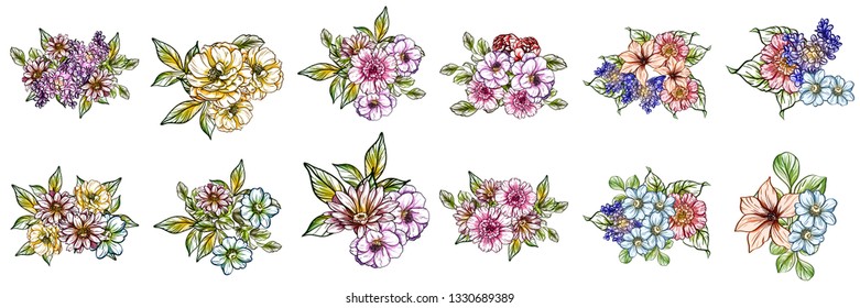 Flowers set. Collection of floral elements