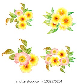 Flowers set. Collection of floral elements