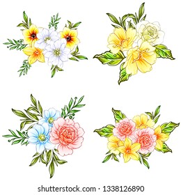 Flowers set. Collection of floral elements