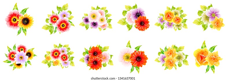 Flowers set. Collection of floral elements