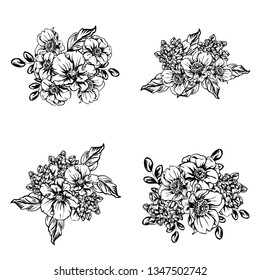 Flowers set. Collection of floral elements