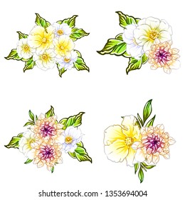 Flowers set. Collection of floral elements