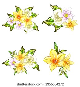 Flowers set. Collection of floral elements