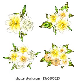 Flowers set. Collection of floral elements