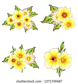 Flowers set. Collection of floral elements