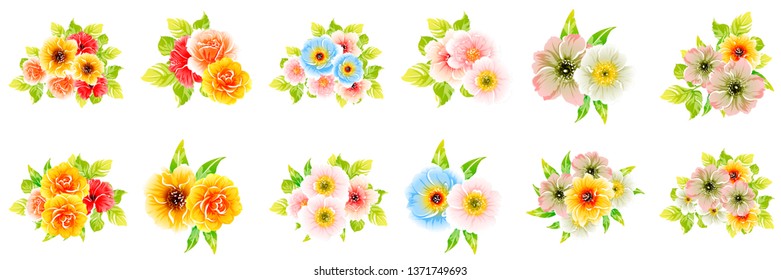 Flowers set. Collection of floral elements