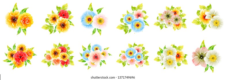 Flowers set. Collection of floral elements