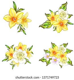 Flowers set. Collection of floral elements