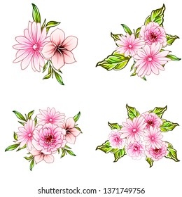 Flowers set. Collection of floral elements