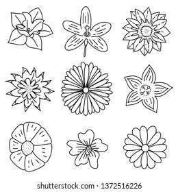 Flowers set. Collection of floral elements drawn by hand - Vector illustration EPS