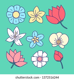 Flowers set. Collection of floral elements drawn by hand - Vector illustration EPS