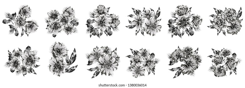 Flowers set. Collection of floral elements