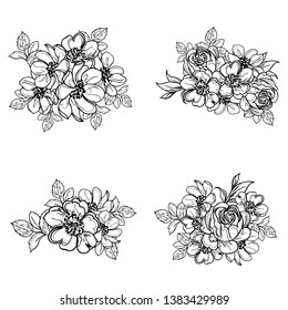 Flowers set. Collection of floral elements