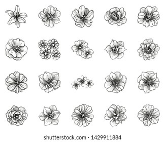Flowers set. Collection of floral elements