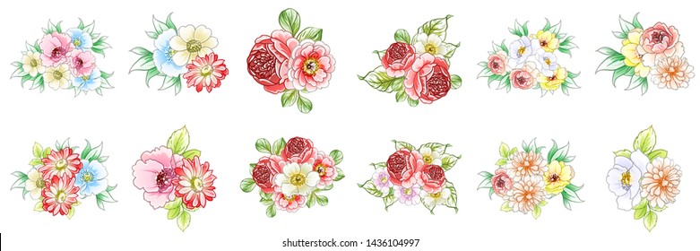 Flowers set. Collection of floral elements
