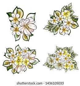 Flowers set. Collection of floral elements
