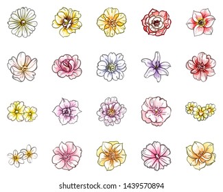 Flowers set. Collection of floral elements