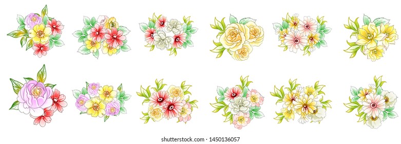 Flowers set. Collection of floral elements
