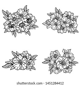 Flowers set. Collection of floral elements