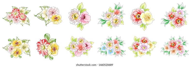 Flowers set. Collection of floral elements