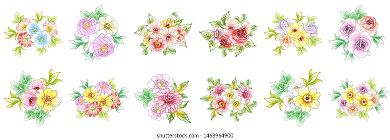 Flowers set. Collection of floral elements