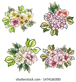 Flowers set. Collection of floral elements