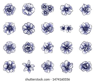 Flowers set. Collection of floral elements