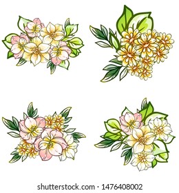 Flowers set. Collection of floral elements