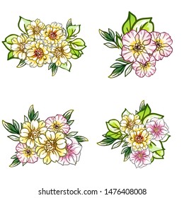 Flowers set. Collection of floral elements