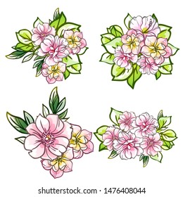 Flowers set. Collection of floral elements