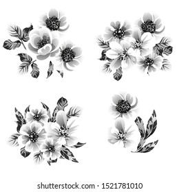 Flowers set. Collection of floral elements