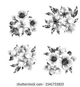 Flowers set. Collection of floral elements