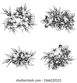 Flowers set. Collection of floral elements