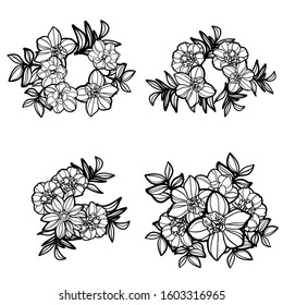 Flowers set. Collection of floral elements