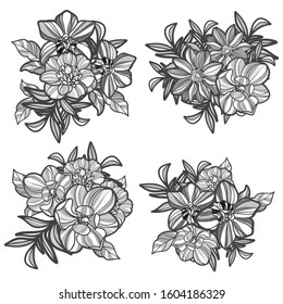 Flowers set. Collection of floral elements