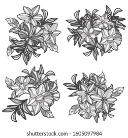 Flowers set. Collection of floral elements