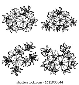 Flowers set. Collection of floral elements