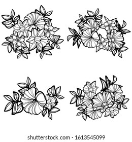 Flowers set. Collection of floral elements