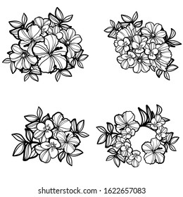 Flowers set. Collection of floral elements