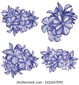 Flowers set. Collection of floral elements