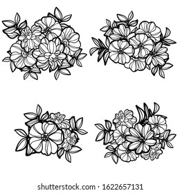 Flowers set. Collection of floral elements
