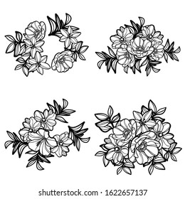 Flowers set. Collection of floral elements
