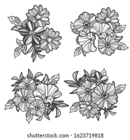 Flowers set. Collection of floral elements