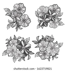 Flowers set. Collection of floral elements