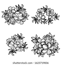 Flowers set. Collection of floral elements